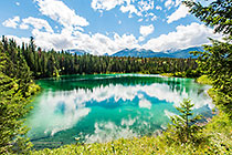 lake #4 clear blue-green water & pine tree forest