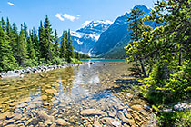 rocks in Cavell river & lake | pine tree forest & Edith Cavell mountain
