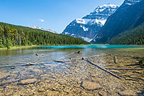rocks & pine tree logs in Cavell river & lake | pine tree forest & Edith Cavell mountain
