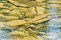 rocks in Cavell river 