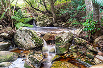 pool with little waterfall