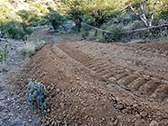 bulldozer making access road to plot