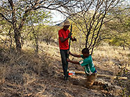 workers erecting 300 m fence around plot