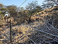 300 m fence around plot