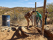 workers erecting 300 m fence around plot