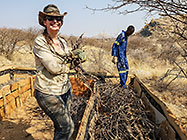 Lisa & Donald laying wooden branches in Hugel garden boxes