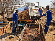 Donald, Lisa & Sedney watering Hugel garden boxes filled with wooden branches & chips
