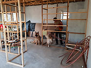 building dry walls in studio with Lisa with Sheba & Zara