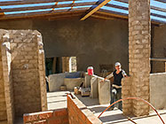 Lisa inspecting house plastered brick walls
