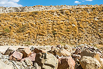 rehabilitated slopes when local grass grows naturally on fine soil