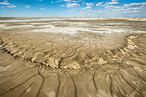 Cracking Tailings