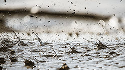 drops from cyclone sprayer on tailings