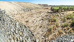 self-rehabilitation of slopes by wind carrying grass seeds from nearby field