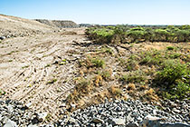 self-rehabilitation of slopes by wind carrying grass seeds from nearby field