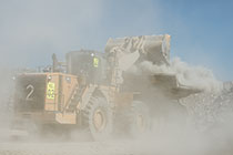 In the Dust