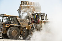 Dusty