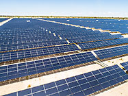 aerial view | solar plant