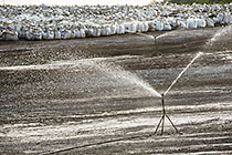 Air Pollution Prevention