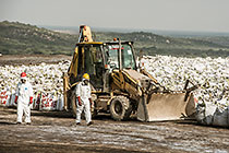 Arsenic Waste