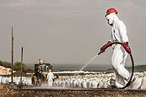 Water Cleaning