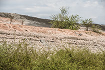 texture of deposits in tailing