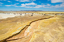 Bags on Tailings