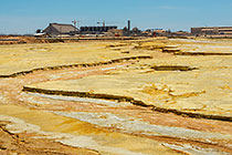Tailings & Plant