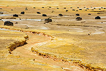 Channel Through Tailings