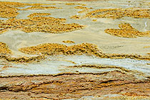 Tailings Close-up