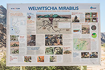 info boards at Khan river picnic area