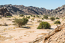 Khan Riverbed