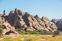 ostriches in Khan riverbed