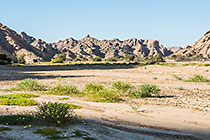 dry sand & flowers in Khan riverbed