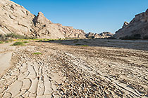 dry sand & flowers in Khan riverbed