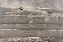 Trucks Crossing