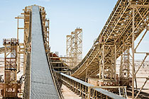 Roller Coaster