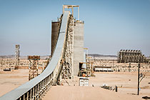 maxi plant | conveyor belts