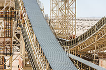 maxi plant | conveyor belts