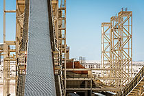 maxi plant | conveyor belts