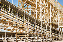 maxi plant | conveyor belts