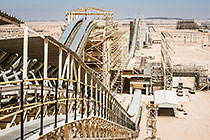 maxi plant | conveyor belts