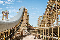 maxi plant | conveyor belts