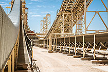maxi plant | conveyor belts