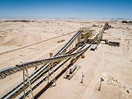 aerial view | maxi plant
