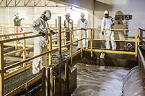 workers taking sea water sample in screen building