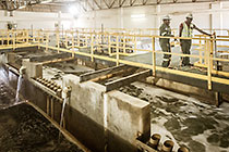 workers taking sea water sample in screen building