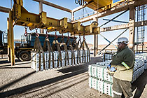 worker loading zinc bricks onto truck