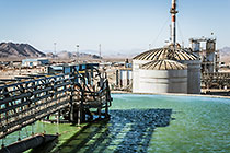 processing plant | leaching tanks