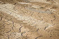 patterns in tailings fields