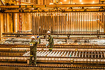 Zinc Sheets